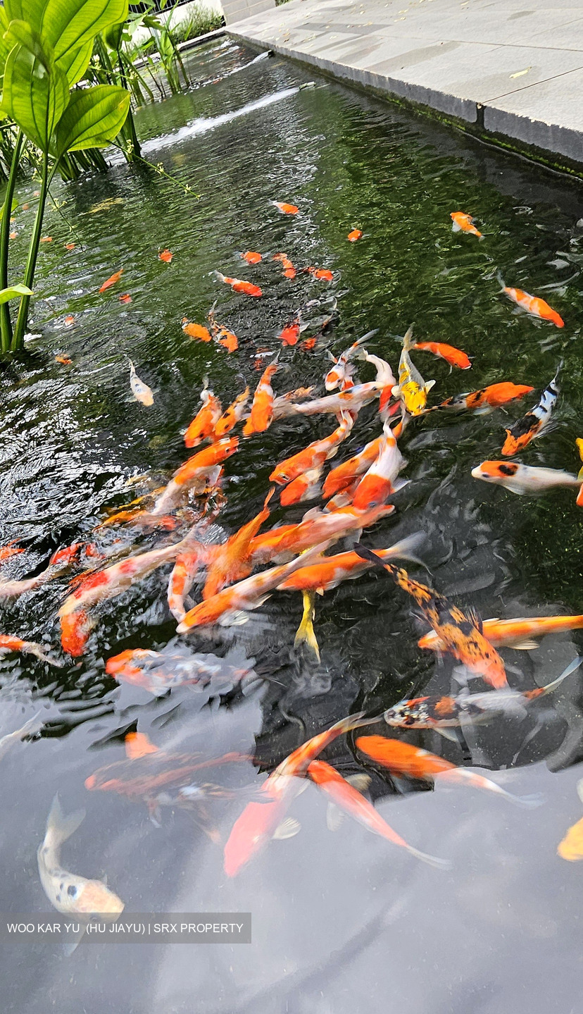 La Fiesta (D19), Condominium #488662861